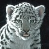 ijenel's Avatar